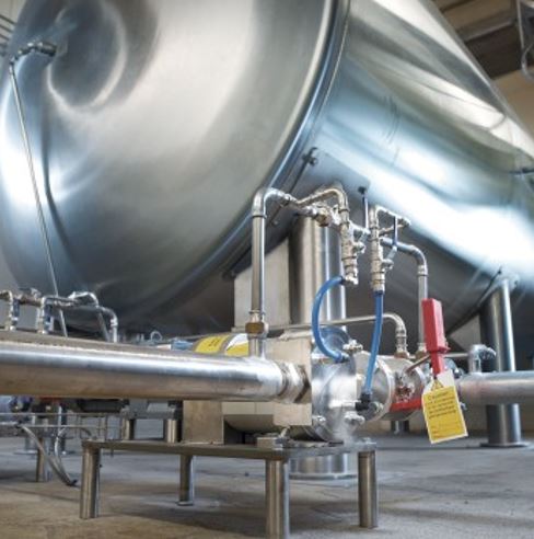 Gea hilge novalobe_1