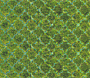 Dalle de parking gazon QuatreFeuille - Envirotiss - stabilisation sans compactage, drainante et sans entretien_1