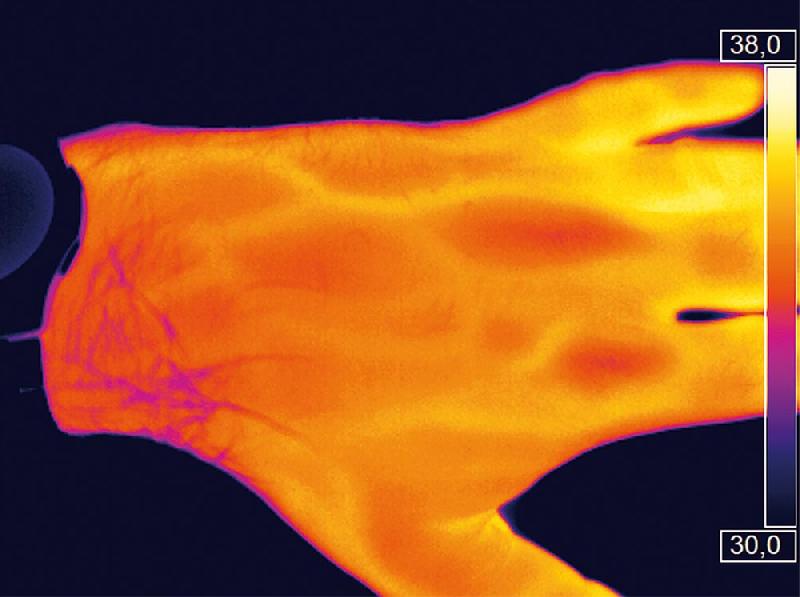 PI450I | Caméra thermique 382 x 288 px px haute résolution 40 mK -20 °C à 1 500°C 80 Hz_1