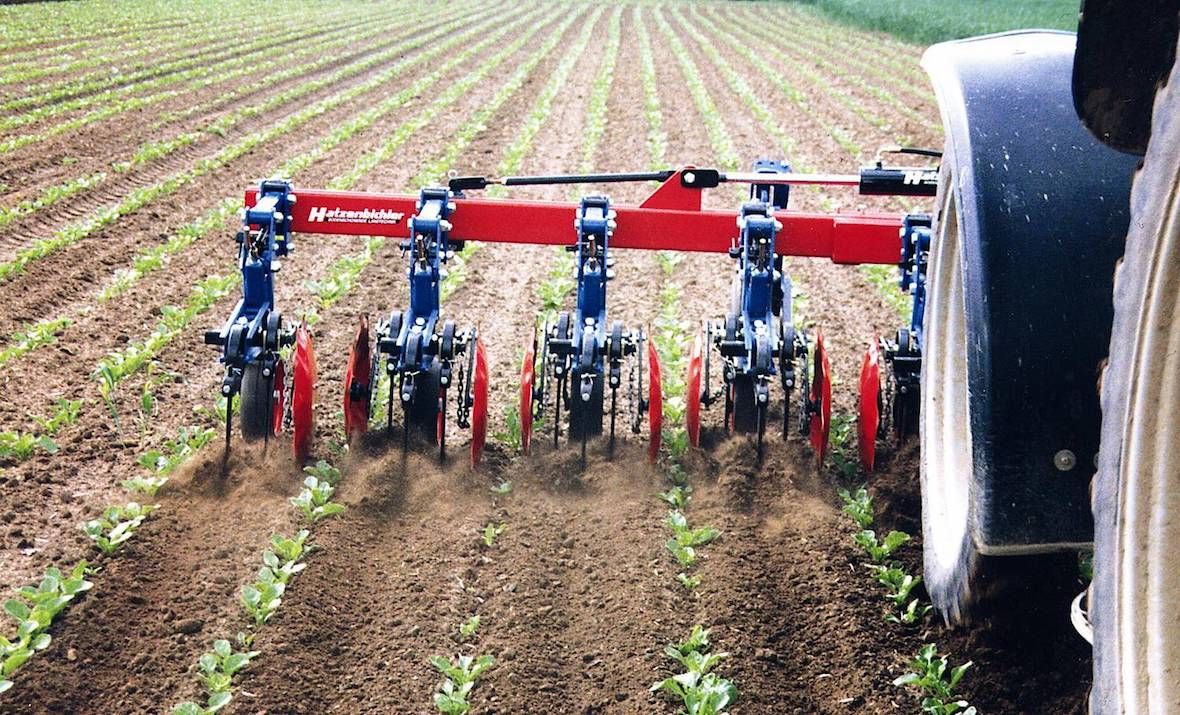 Bineuse spéciale betterave - Thomas Hatzenbichler Agro-Technik - barre profilée avec montage 3 points et disques stabilisateurs montés sur roulements à billes_1