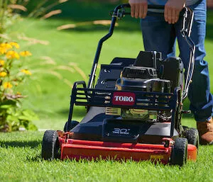 Tondeuse à conducteur marchant Toro TurfMaster_1