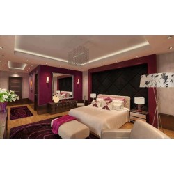 Ruban LED d'intérieur et d'extérieur - HEXALINE bi-color 48W IP20 - blanc chaud et froid_1