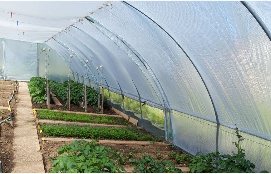 Serre horticole par excellence - BRETAGNE_2