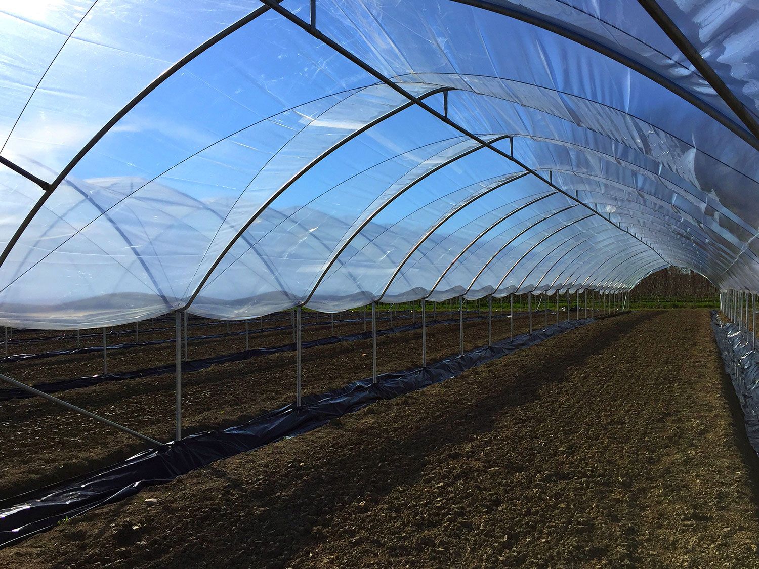 Multieasy - serre chapelle Europrogress - hauteur poteau de 1,2 à 2 m - arceaux galvanisés et bâchage plastique_1