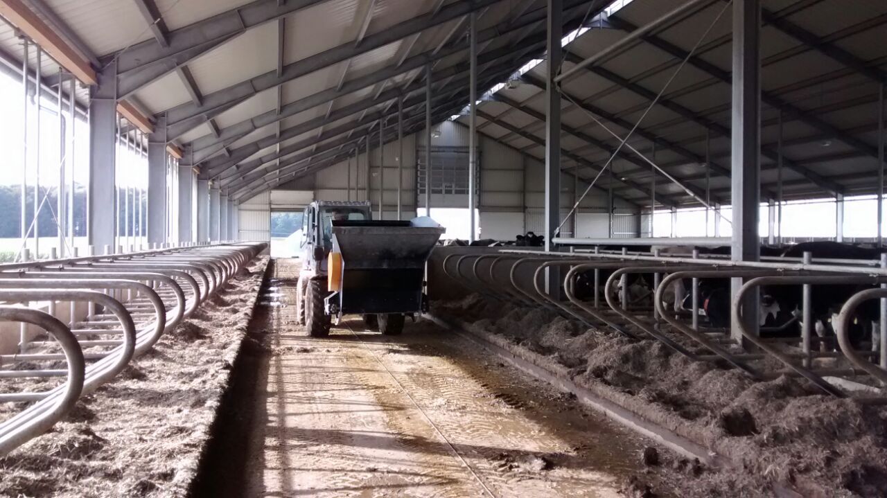 Godet pailleur mini'dis_1