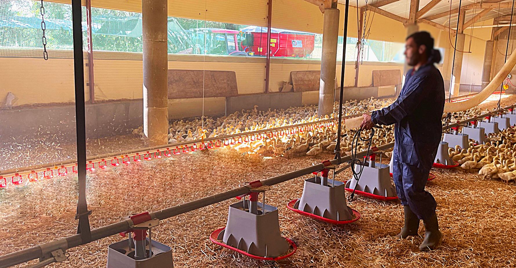 Méca-Pulse, la pailleuse multiproduits - Dussau Développement_1