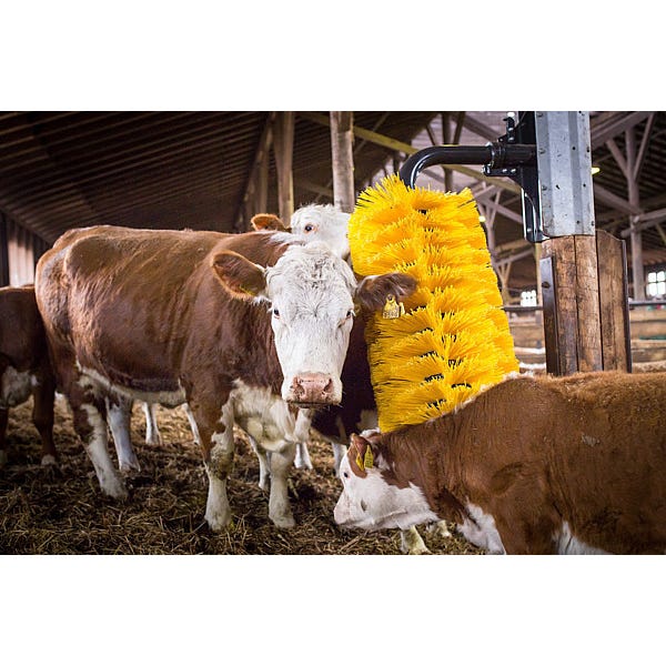 Brosse pivotante MAXI pour vaches et taureaux - L 155 cm - poids 60 kg_1