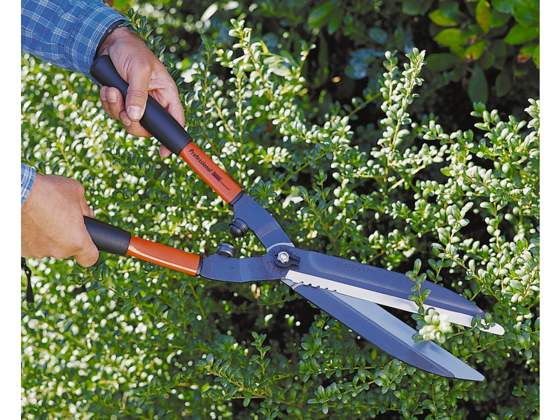 Cisaille à haies Bahco P51-F - lames dentelées, poignées légères en aluminium, 570mm - usage professionnel_1