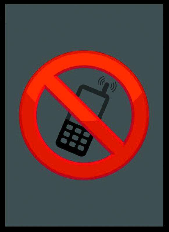 Roclean Logo - Tapis d'accueil sur mesure en fibres polyamide avec impression HD, antistatique et résistant aux UV_1