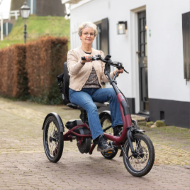 Tricycle Easy Rider Compact Vanraam - Tricycle compact facile à utiliser pour adultes de petite taille et enfants de grande taille_1