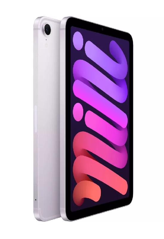 IPad Mini 8,3p 512 Go cellular - Mauve_1