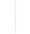 Thermomètre à alcool jaune -20° à 110° - modèle classique avec crochet-œil - longueur 26 cm_1