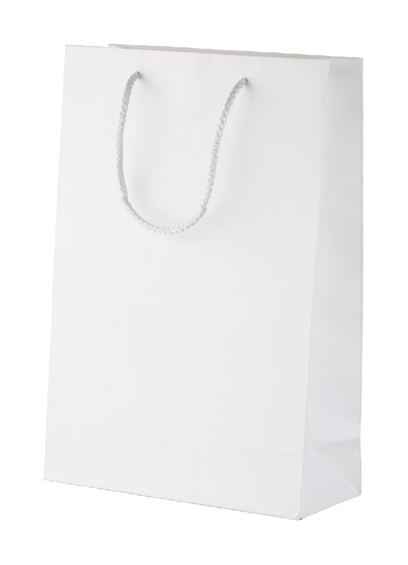 Sac boutique en papier - sur mesure avec poignées en polypropylène - impression offset multicolore - à partir de 500 pièces_1