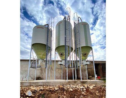 Silo d'élevage à cône axial de 60° pour l'alimentation des veaux  Capacité 20m3, 26m3 ou 30m3 - Poudre de lait_1