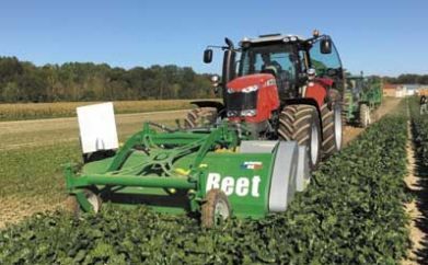 Effeuilleuse arracheuse polyvalente pour tracteur
