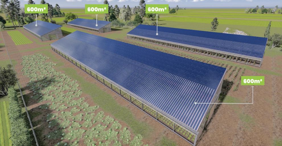 Serre photovoltaïque Arkolia - pour agriculteurs maraîchers, horticulteurs et arboriculteurs - financement et énergie verte_1