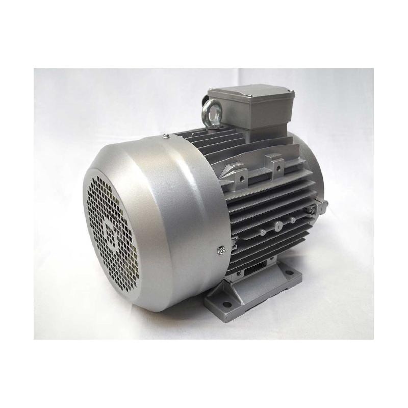 Moteur électrique triphasé 400/700V - 55kW - 1500tr/min - Bride B3 à pattes - ALMO CAFE250M44_1