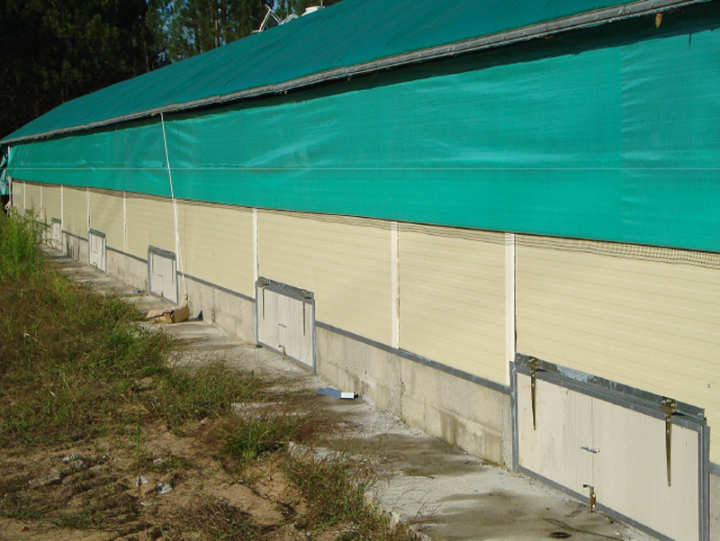 Structure galvanisée pour élevage avec tunnels Louisiane