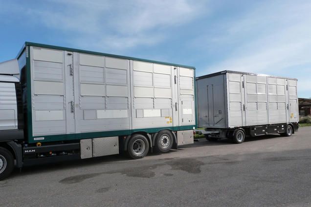 RBA21 - Remorque Bétaillère Carrozzeria Pezzaioli - Essieux jumelés fixes 10 000 kg, aluminium anticorrosion, 2 à 4 niveaux de chargement_1