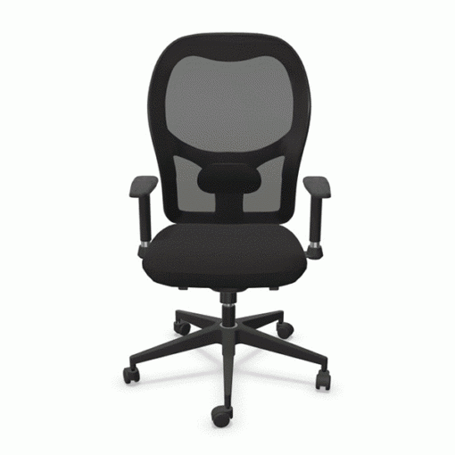 Chaise opérative ergonomique Parker - Sitek - Neuf avec soutien lombaire réglable_1