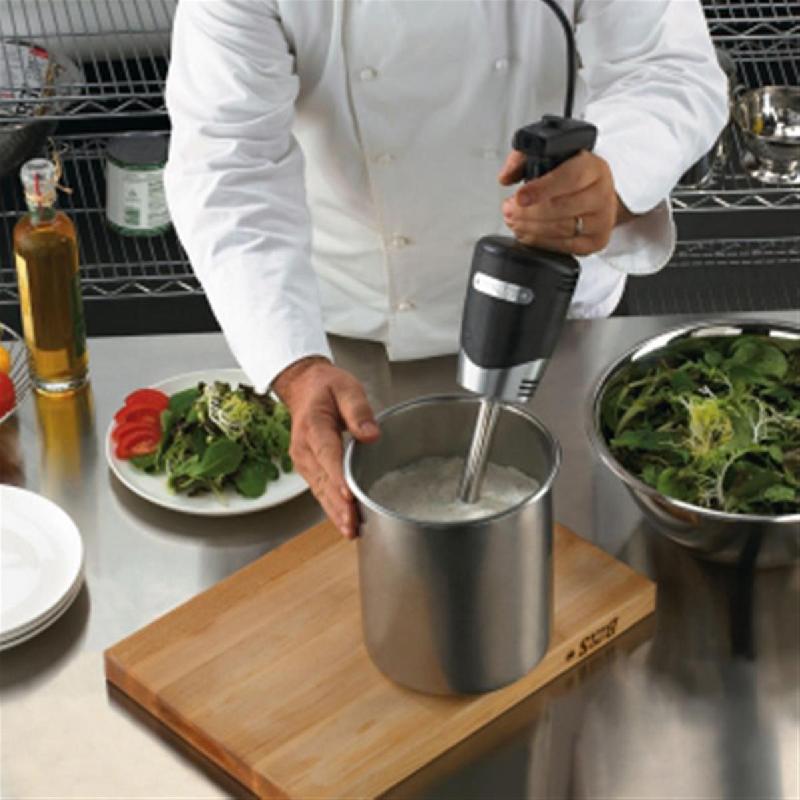 Mixer Quick Stik plus à usage modéré | Waring - WSB40E_1