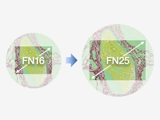 Caméra CMOS DP28 Olympus - Ultra-haute définition 4K - 8,9 MP - Microscopie et enseignement_1