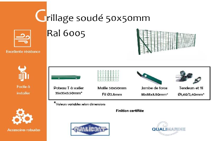 Grillage soudé maille 50x50mm Ral 6005 - 1000_1