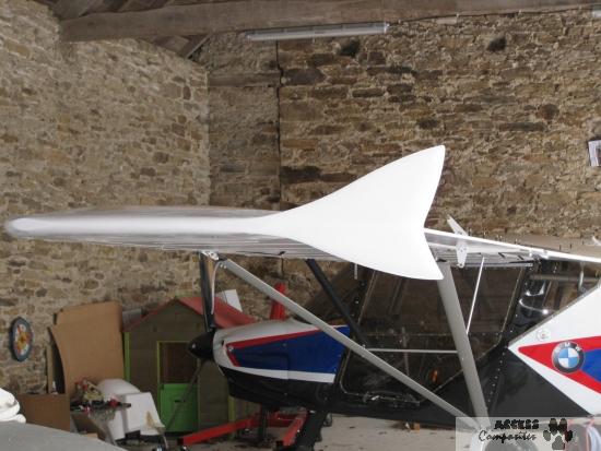 Nynjawin - winglets (la paire)_1