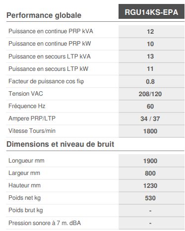 Dynamic RGU14KS-EPA - Groupe électrogène industriel capoté insonorisé Genmac - PRP 12 kVA_1