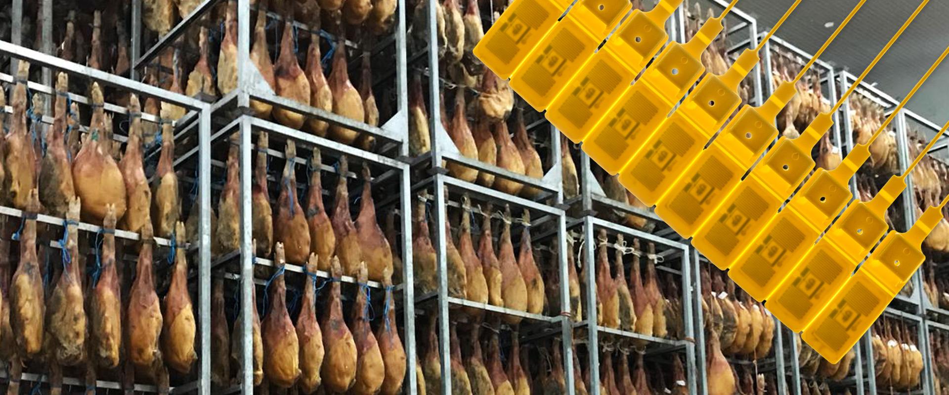 Scellé de sécurité en plastique TEN-LOK RFID avec marquage laser - Precintia - traçabilité optimale_1