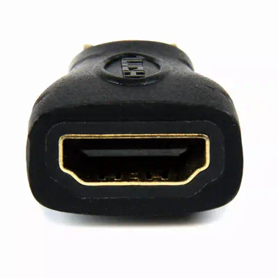 StarTech Adaptateur Mini HDMI vers HDMI - Convertisseur_1