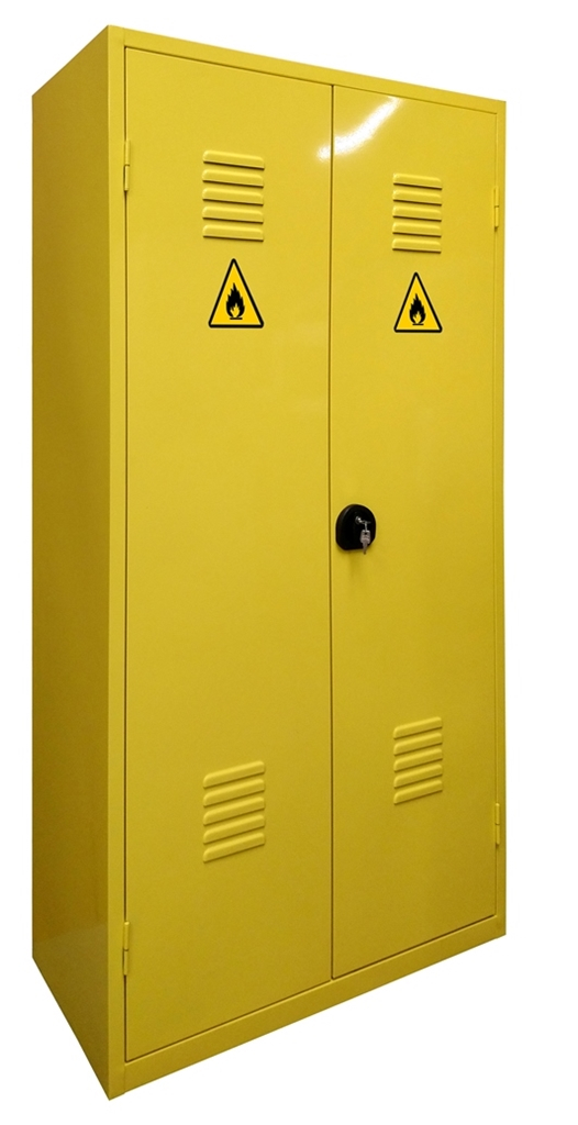 Armoire de sécurité pour produits inflammables, capacité :240 L - APE2I - DELAHAYE INDUSTRIES_0