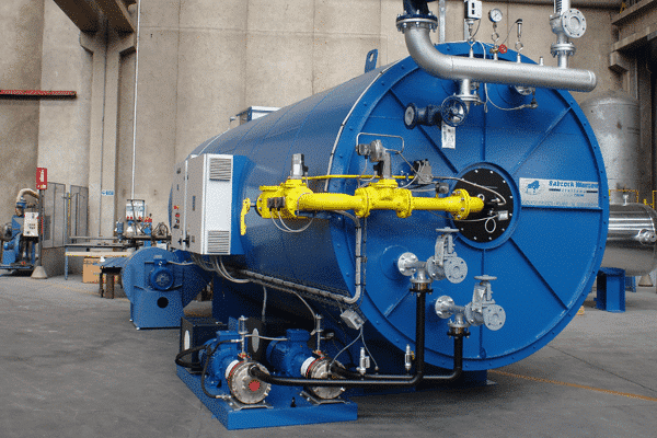 Générateur de vapeur Eurosteam - Babcock Wanson - 600 000 à 6 000 000 kCal/h - 10.000 kg/h de vapeur saturée_1