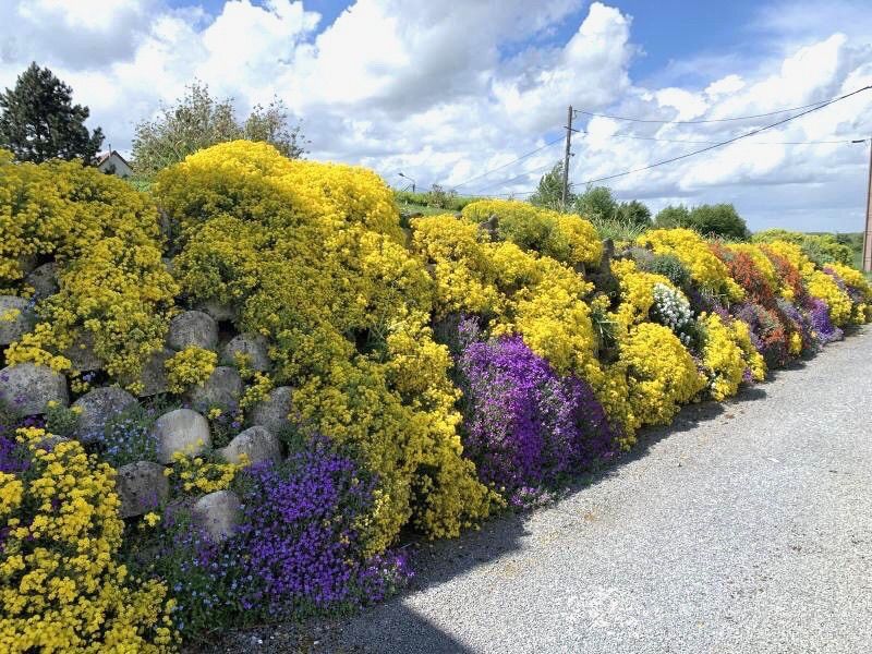 Mur de soutènement décoratif < à 1,70m - ATALUS 18_0