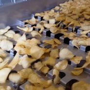 Roflo® VMCS 3 - Calibreuse alimentaire TNA - Profondeur 200 mm - Convoyeur vibratoire avec auge de calibration innovante_1