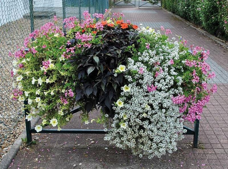 Jardinières sur rebords de fenêtres ou sur barrières de ville_1