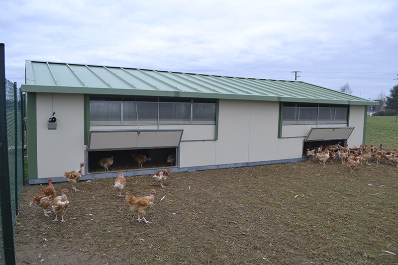 Cabane avicole deplaçable 60m2_1