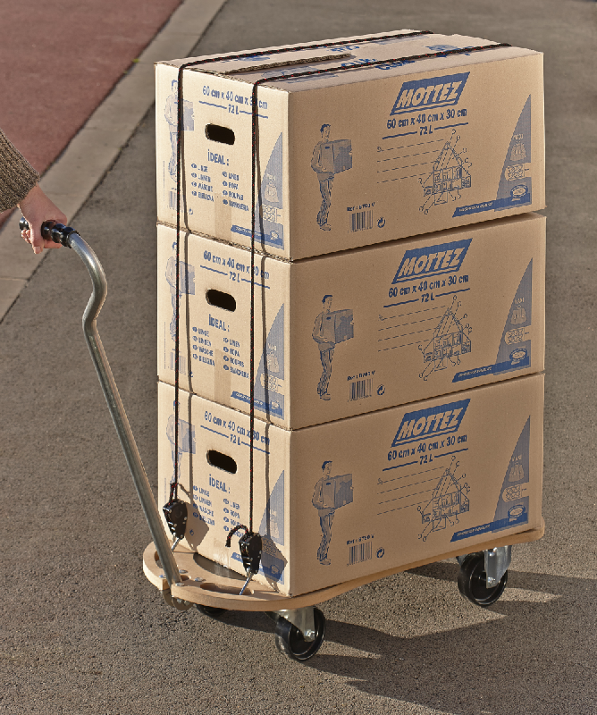 Mottez - Coin rouleur double fonction - B739V - Métal embouti - Charge maxi 200 kg - Roulette Ø 40 mm_1