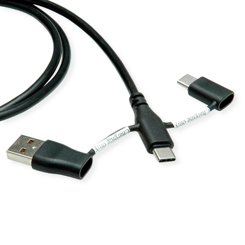 ROLINE Câble USB 2.0 type C, M/M, avec protecteur de données USB, type A+c, 1 m_1