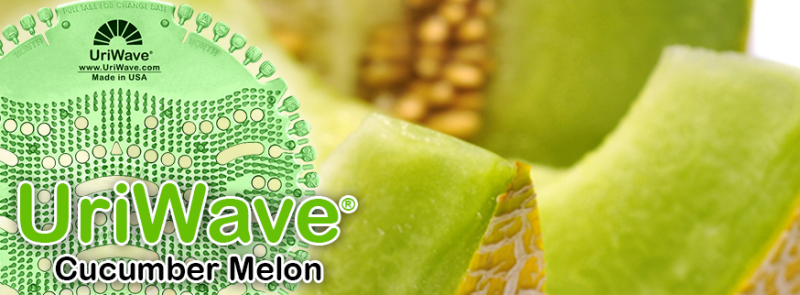 Uriwave grille urinoir desodorisante parfum concombre melon_1