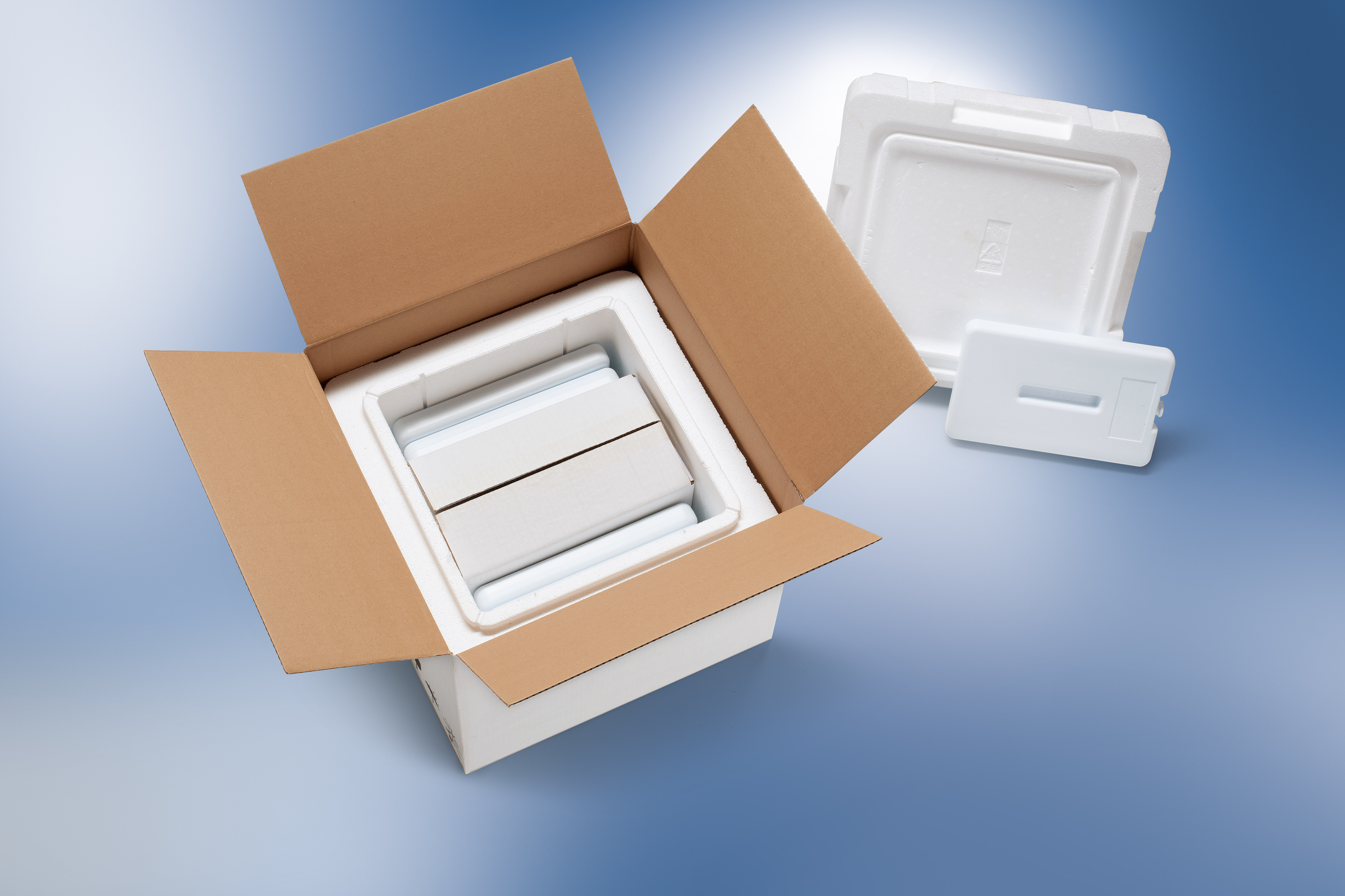 Emballages isothermes 48h - Température dirigée 15-25°C - Boîtes préqualifiées Storopack_1