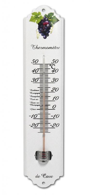 Thermomètre intérieur ou extérieur INOVALLEY 7100 - acier décor raisin - à fixer_1