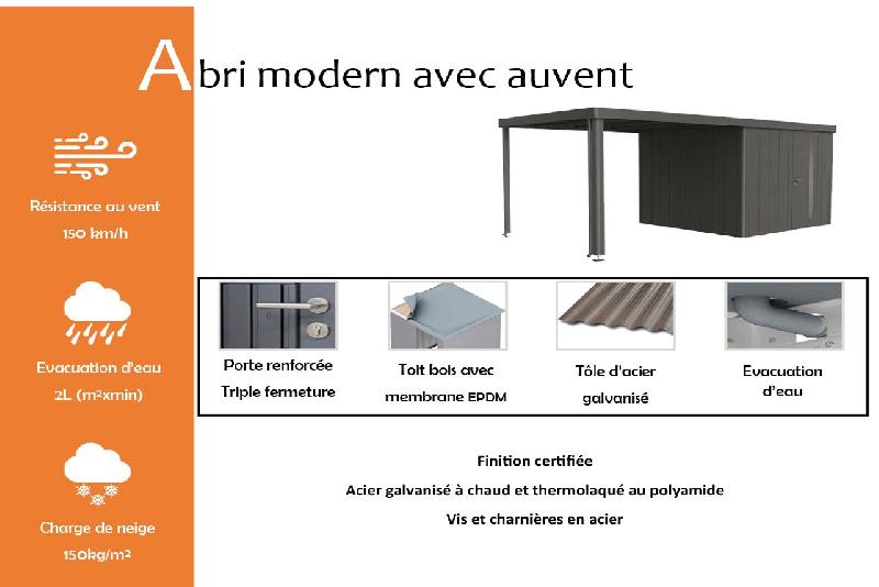 Abri modern avec auvent - 236 / 348_1