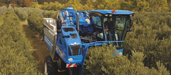 Récolteuse d'olives Braud 9090X avec système de secouage SDC