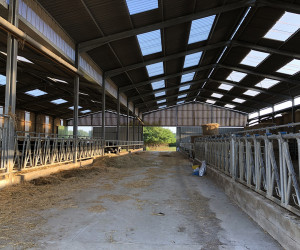 Bâtiment d'élevage pour bovin laitier sur mesure - Possibilité d'aménagement avec des logettes paillées - Ets Bobet_1