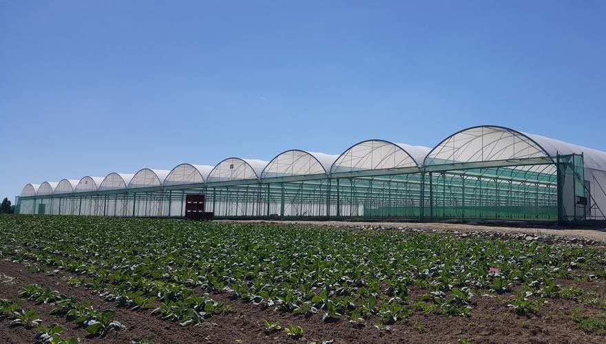 Baltique - serre chapelle professionnelle JRC 9.60m - robustesse et grand volume pour cultures maraîchères_1