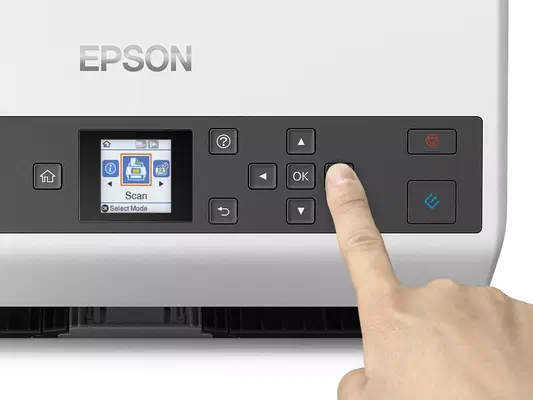Epson WorkForce DS-970 Alimentation papier de scanner 600 x 600 DPI A4 Gris, Blanc_1