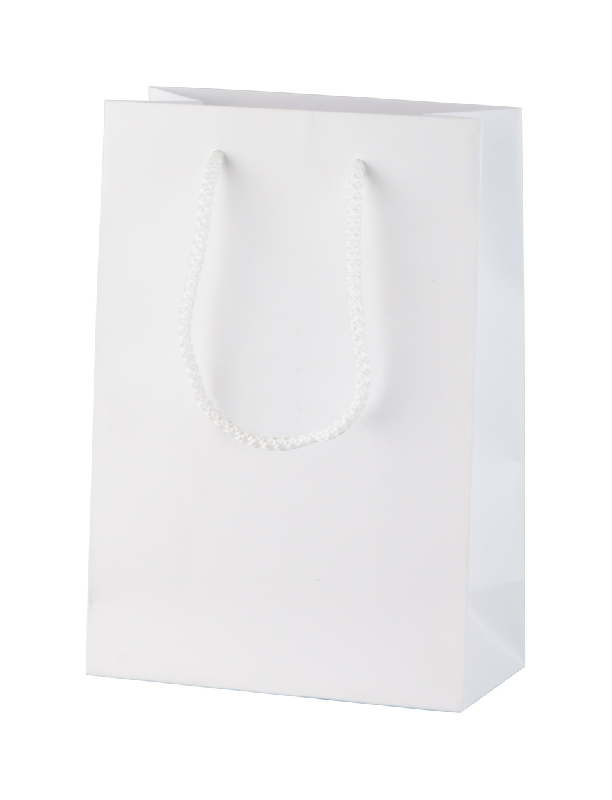 Sac publicitaire en papier sur mesure - poignées en polypropylène - impression offset multicolore_1