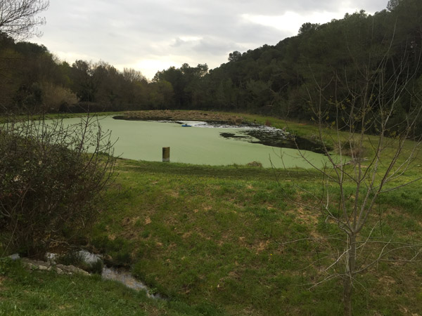 Système d'aspiration des lentilles d'eau Lent'out - Curatif, rapide et efficace_1