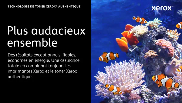 Cartouche de toner Noir de Capacité standard Xerox Imprimante couleur Xerox® VersaLink® C620/multi_1